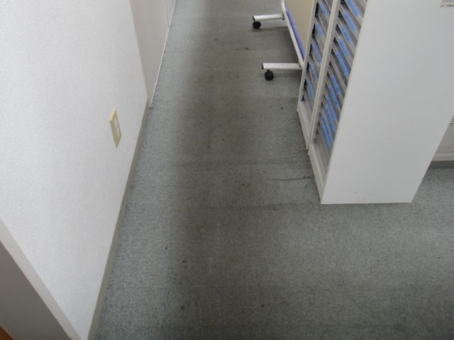 カーペットクリーニングC_歩行同線けものみち道の施工事例_before